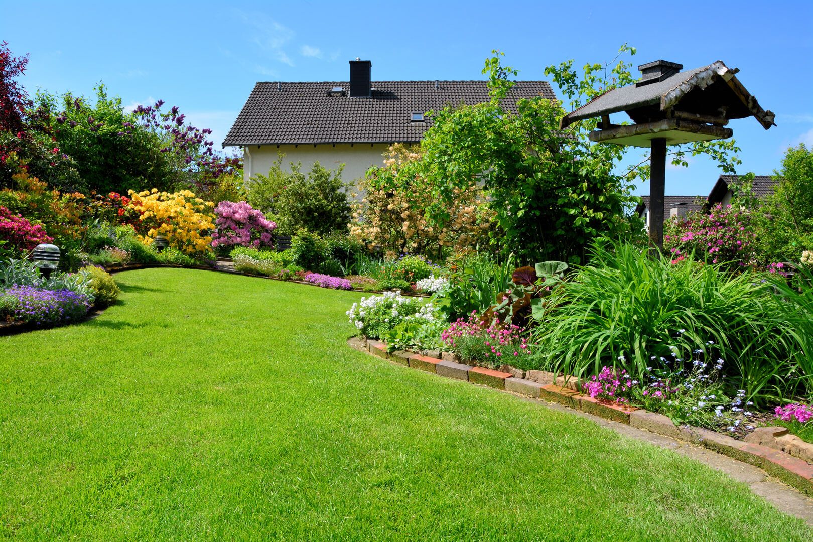Garten mit vielen verschiedenen Pflanzen